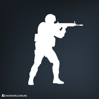 CS:GO 